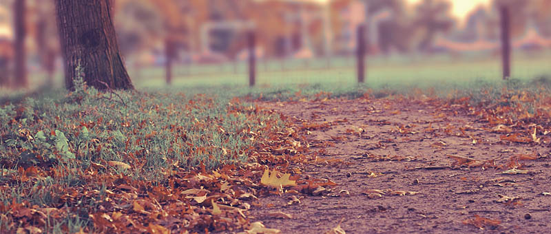 网站攻击软件工具